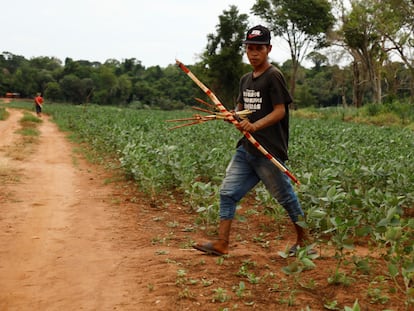 Pobladores de la comunidad de Hugua Po’i, en el este de Paraguay, regresan a casa atravesando plantíos de soja que están en sus tierras, en marzo de este año.