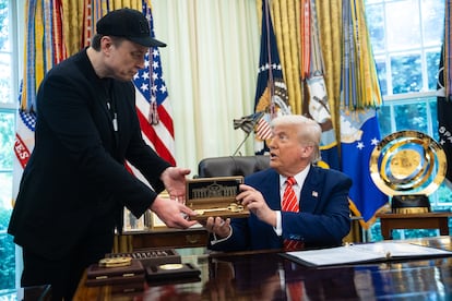 Venerdì Donald Trump consegnerà a Elon Musk una chiave d'oro nello Studio Ovale della Casa Bianca.