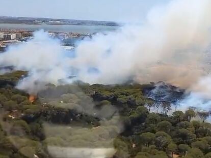 Incendio forestal en Puerto Real, Cádiz, este domingo.