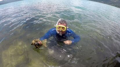 Desde hace dos semanas, equipos de biólogos y vulcanólogos del Ministerio de Medio Ambiente y Recursos Naturales (MARN) toman muestras del agua del lago, que se asienta sobre un cráter volcánico.