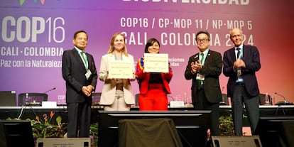 Ysabel Calderón (centro) recibe el Premio Midori a la Biodiversidad 2024 en Cali, Colombia, en octubre de 2024.