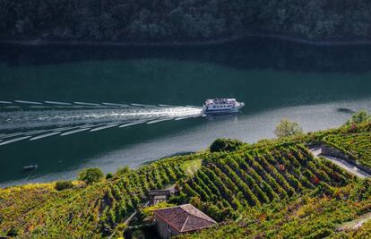 Un crucero turístico por el cañón del río Sil, en la Ribeira Sacra.