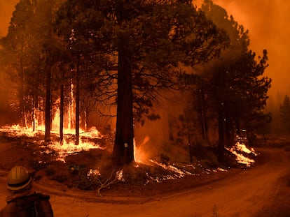 Incendio en el Parque Nacional de Secuoyas (California) en septiembre de 2021. Es uno de los que Silvester observa atentamente desde su casa en Nueva Zelanda.