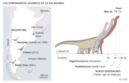 Os dinossauros gigantes da Patagônia. / EL PAÍS