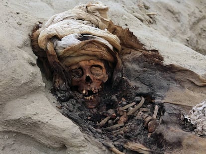 Uno de los restos de los 227 niños descubiertos en Huanchaco.