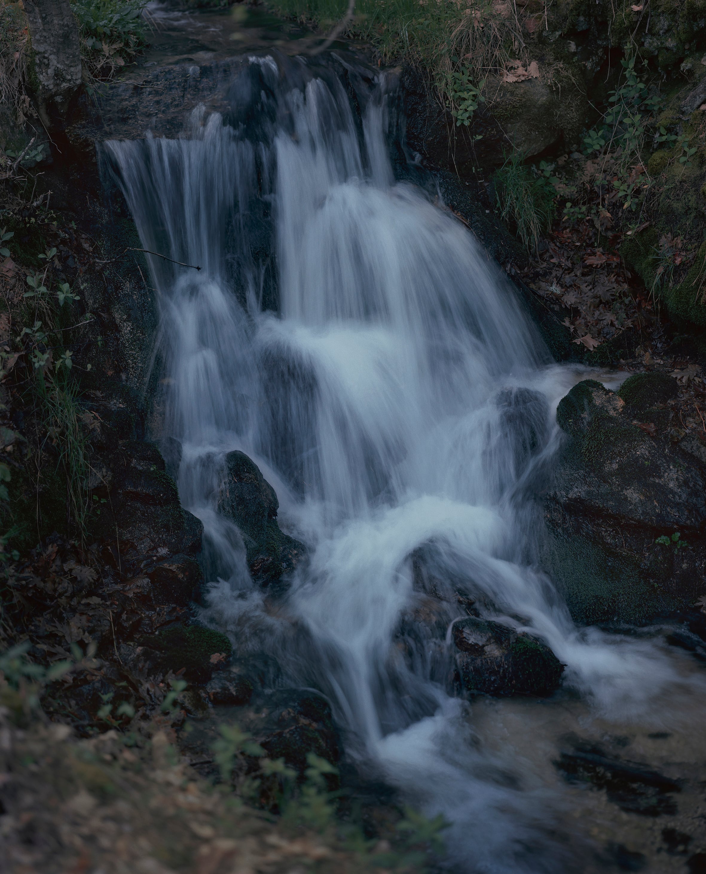 Fotografía de la serie 'De arroyos, bosques y torrentes'.