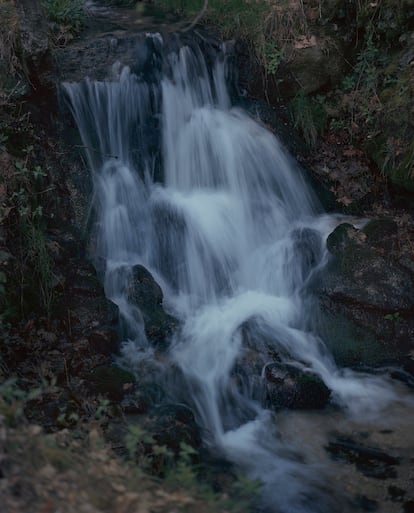 Fotografía de la serie 'De arroyos, bosques y torrentes'.