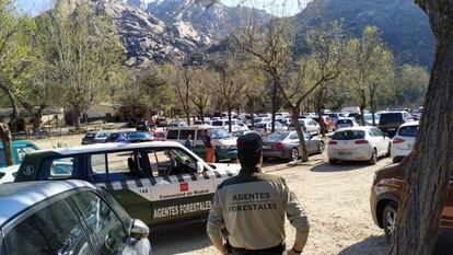 Un agente forestal de la Comunidad de Madrid.