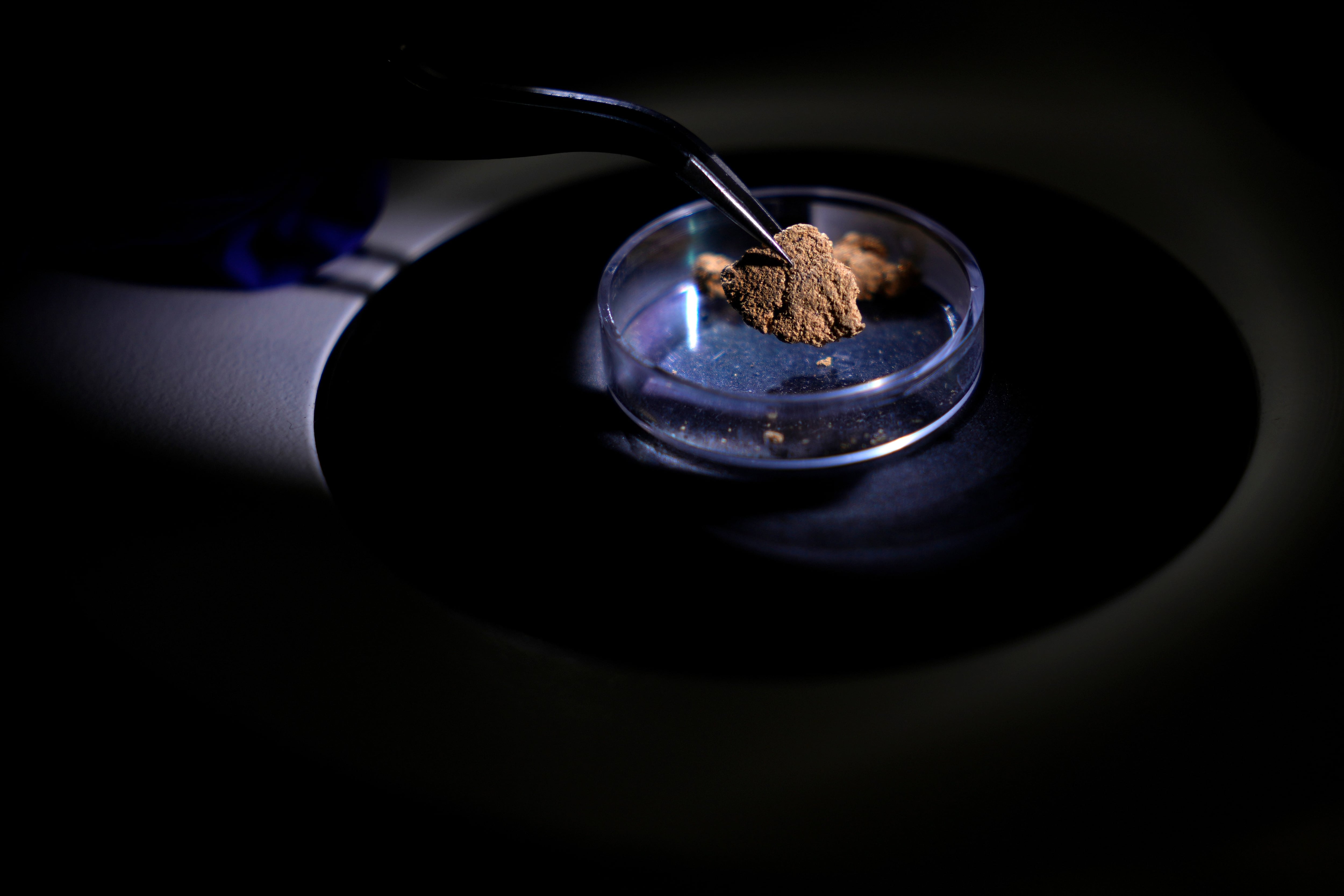 Brasil usa la ciencia forense para combatir la minería ilegal
