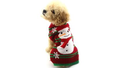 ugly sweater mascota