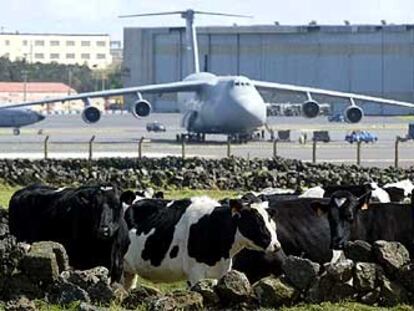 Un prado lleno de vacas frente a los aviones de transporte de la base de EE UU en las Azores.