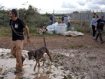 Volunteers moving the animals from the Modepran shelter in Carlet.