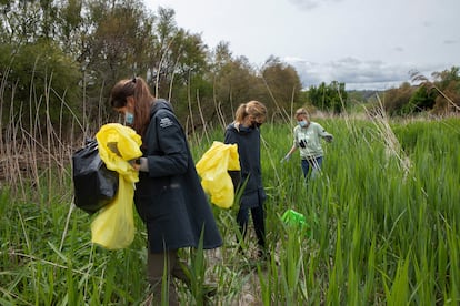 Varios participantes recogen residuos en el entorno del río Jarama.
