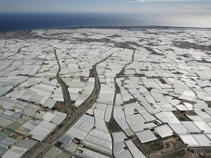 Vista a&eacute;rea de los invernaderos de El Ejido (Almer&iacute;a).