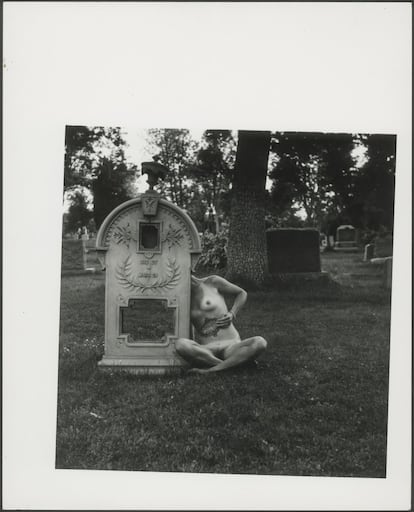 'Untitled photograph' (1975-1978).