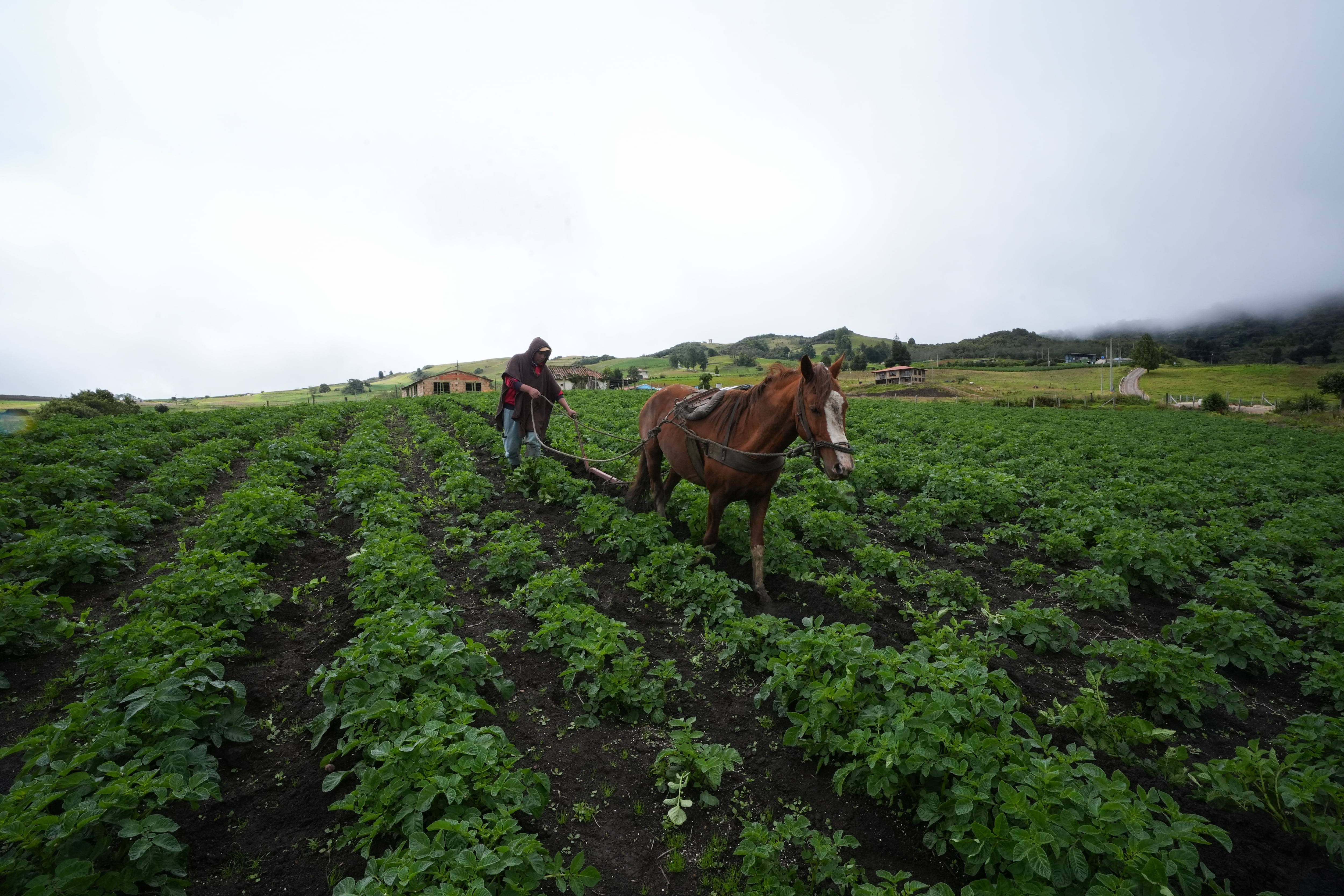 Recentralización: la trampa del ordenamiento agrario