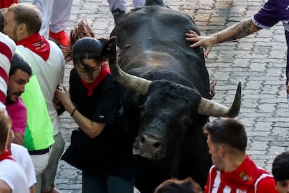 Uno de los astados de Miura arrastra a una corredora a su llegada a la plaza de toros de Pamplona. 