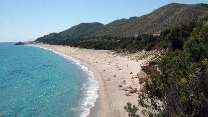 Dunas, pinares y naturismo convierten la playa del Torn en un paraíso estival.