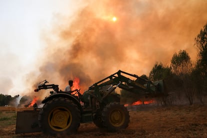 Un vecino luchaban el sábado contra el fuego en A Veiga das Meas (Ourense).