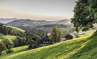 Paisaje típico de la Selva Negra en Reinerhof, cerca de St. Peter, al suroeste de Alemania.