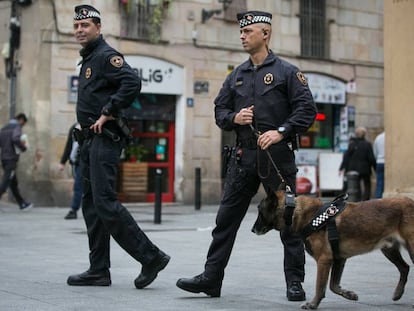 Agentes de la Unidad canina de la Guardia Urbana, este miércoles, en El Raval.