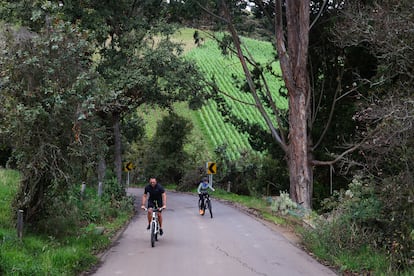 Usuarios de bicicleta transitan por una de las rutas de 'Bici Bogotá Región', el 24 de noviembre de 2024.