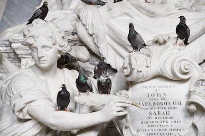 'Otros' es una instalación de 200 aves de taxidermia creada por Cattelan. La imagen fue tomada el 12 de septiembre de 2019 en el palacio de Blenheim en Woodstock (Reino Unido).