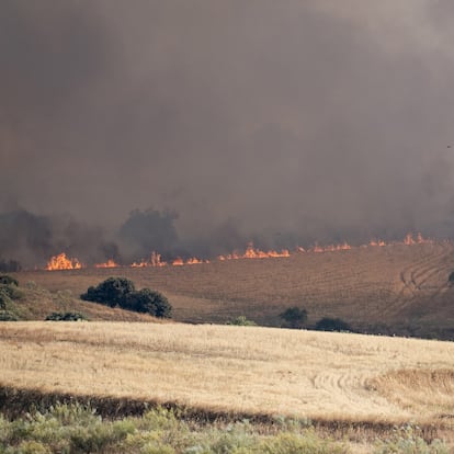 17/07/2025 Vista del incendio, a 17 de julio de 2025, en Navalcarnero, Madrid (España). Un incendio originado hoy en la localidad toledana de Méntrida, limítrofe con la Comunidad de Madrid, ha pasado a situación operativa Nivel 2 por posible afección a bienes de naturaleza no forestal e infraestructuras, según apunta el Plan Infocam en su cuenta de X. Por su parte, el Sistema de Información de Incendios Forestales del Gobierno de Castilla-La Mancha refleja que el fuego comenzaba a las 15.02 horas de este jueves, tras ser detectado por un vigilante fijo. En la extinción de las llamas están trabajando en estos momentos un total de 19 medios y 66 personas, concretamente 7 medios aéreos, con ocho personas; diez medios terrestres, con 41 personas, 2 medios de dirección y coordinación, con cinco personas; y 12 personas más de personal interno.
SOCIEDAD
A. Pérez Meca - Europa Press
