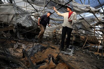 Amit y Moti Dagan, granjeros de Ashkelon, inspeccionan un invernadero destruido por cohetes lanzados desde la franja de Gaza por milicianos palestinos. 