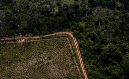 Trecho desmatado da Amazônia no Acre, em flagrante feito por sobrevoo na região neste sábado.