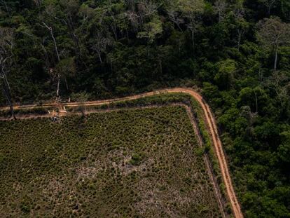 Trecho desmatado da Amazônia no Acre, em flagrante feito por sobrevoo na região neste sábado.