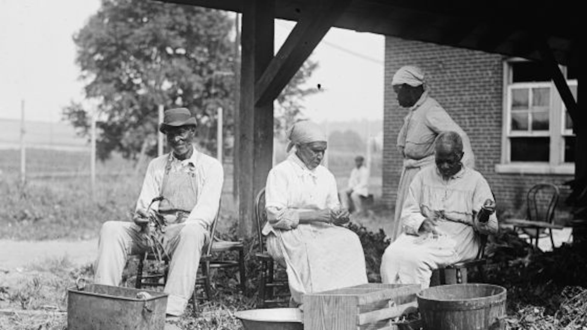 Cotton Fields Forever' | Babelia | EL PAÍS