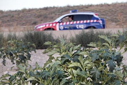 Un coche policial pasa junto a  unos arbustos de estramonio en los alrededores del caserón de Getafe donde murieron dos jóvenes tras ingerir una infusión de esta  planta.