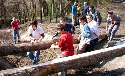 35 centros educativos de Mallorca reforestan la sierra de Tramuntana.