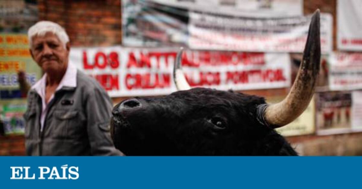 En enero de 2017, después de cuatro años, los toros regresan a Bogotá ...