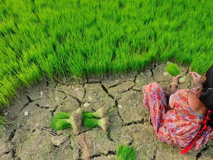 ¿Cómo reparar un planeta degradado?