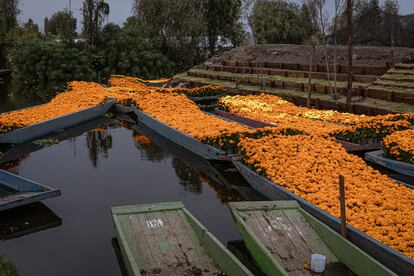 Varias canoas con flores a la estera de ser descargadas.