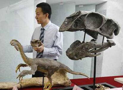 El paleontólogo Xu Xing, con un modelo del <i>Gigantoraptor </i>y de su cráneo, ayer en Pekín.