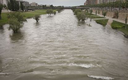 El r&iacute;o Segre bajaba ayer crecido a su paso por Lleida.