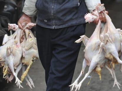 Un vendedor carga con varias gallinas sacrificadas.
