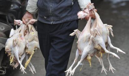 Un vendedor carga con varias gallinas sacrificadas.