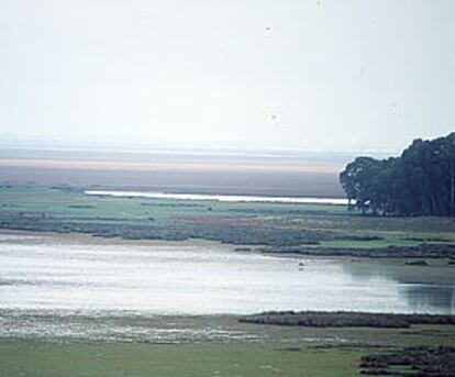 Una imagen del Parque Natural de Doñana, incluido en la Red de Reservas de la Biosfera.