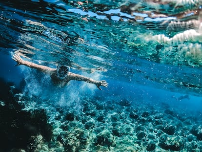 La isla bonita de Isla del Giglio (Italia). Esta isla toscana del mar Tirreno quiere que el mundo la conozca como la isla etrusca, gracias a sus tesoros arqueológicos que datan de la civilización que pobló la península itálica entre los siglos VIII y III antes de Cristo. Para promover sus tradiciones cuenta con el Festival de los Etruscos, en el que se celebra la cultura de esta civilización, y fiestas populares como la de San Lorenzo, siempre acompañadas de vino toscano y de dulces como el 'panificato', a base de higos secos, pasas, nueces, almendras y vino. El compromiso de sus habitantes por preservar su entorno y por fomentar un turismo responsable los impulsó a lanzar una campaña para limpiar sus campos y costas, en la que participan con entusiasmo no solo residentes sino sus muchos visitantes. Por ello, gracias a sus aguas claras, los buceadores disfrutan aquí de lo lindo divisando gorgonias amarillas y rojas, estrellas de mar, esponjas y muchas otras especies marinas.