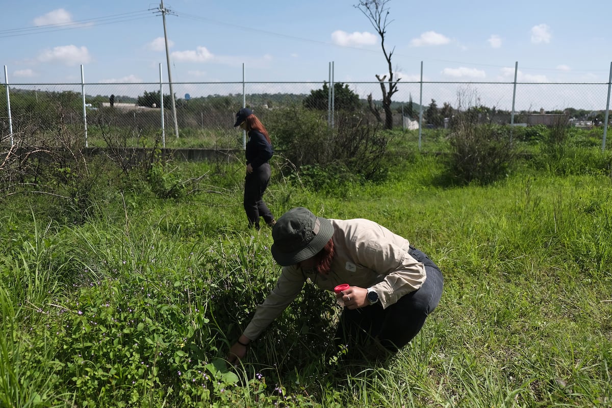 El proyecto que busca implementar tecnología para rastrear fosas clandestinas en Jalisco