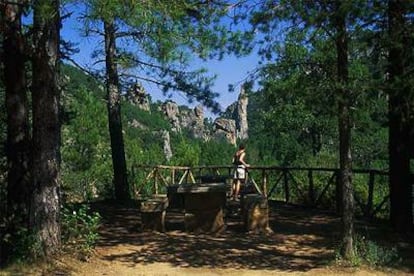 El parque natural del Alto Tajo abarca 105.721 hectáreas en un entorno de enormes rocas, pinos y buitres junto al curso del río en Guadalajara y Cuenca.