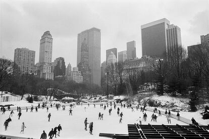 Central Park, NYC 1994