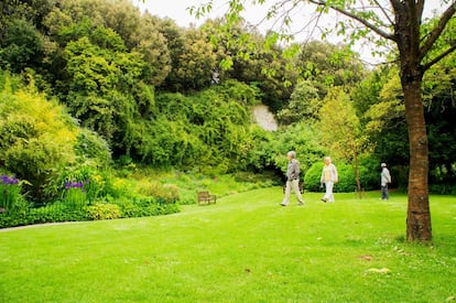 Entre los jardines más espectaculares de la costa de Sussex, figuran los de Highdown, en Worthing, entre Brighton y Chichester, y muy cerca del castillo de Arundel. Por sus senderos han paseado aristócratas, jardineros, jockeys, buscadores de plantas, políticos e incluso la familia real. Lord y Lady Sybil Stern dedicaron su vida a cuidar con esmero y engrandecer esta floresta que a su muerte sin hijos donaron al ayuntamiento de Worthing. Los Stern formaban parte de la última generación de aristócratas anglo-judíos que compartían aficiones por los caballos, la caza, la vida militar, la política, la filantropía, la ciencia y, por supuesto, los jardines. Durante décadas realizaron una enorme inversión en la contratación de los llamados cazadores de plantas, expertos que realizaban peligrosas expediciones de recolección en todo el mundo. Compraron e intercambiaron miles de semillas y esquejes e incluso instalaron un laboratorio en Highdown Tower para contar los cromosomas de las plantas. Lord Stern compartió sus experiencias en conferencias públicas y en su libro <i>A Chalk Garden</i>. Hoy, los jardines son una biblioteca viviente. Las plantas originales recolectadas por los Stern que han sobrevivido contienen material genético vital para el cultivo de plantas. <br><br>En los últimos años se han recuperado muchas historias olvidadas en los archivos y documentos de los Stern, en particular sobre los cazadores de plantas. Hoy podrían ser considerados una suerte de <i>ecopiratas</i>, pero a principios del siglo XX formaban parte de una red de recolección botánica impulsada por acaudaladas organizaciones de coleccionistas que se apoyaban en la infraestructura comercial y militar del imperio británico. Muchas de las semillas de plantas de los Stern se recolectaron en el Himalaya y China, entre 1914 y 1939. Lord Stern también coleccionaba números de cromosomas. A partir de la década de 1940, el aristócrata se obsesionó con la citología (biología celular) y pidió a jóvenes científicos del Instituto de Horticultura John Innes que le enseñaran a leer los cromosomas de las plantas. Con ello creó nuevos híbridos vegetales. En Highdown Tower, Stern convirtió su bodega en un laboratorio y en poco tiempo pasó de ser un joven <i>playboy</i> de la alta sociedad a un respetable científico.