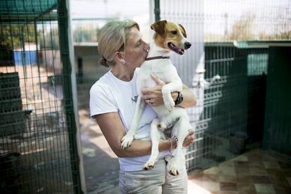 Una voluntaria abraza a un perro en el refugio para animales.