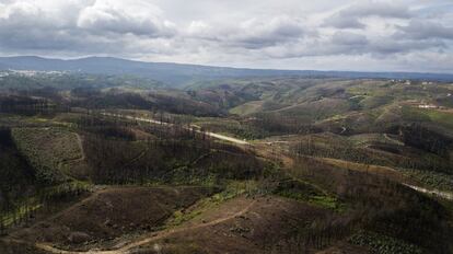 Imagen area de zona quemada por el incendio de junio de 2018 en el termino municipal de Pedrg?o Grande (en el centro de Portugal).