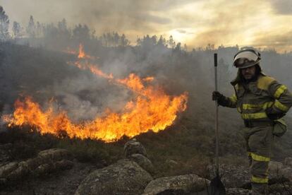 Los servicios de extinción luchan contra el fuego